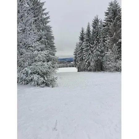 & Hiking Forest Stay, Cleaning Included Schnett