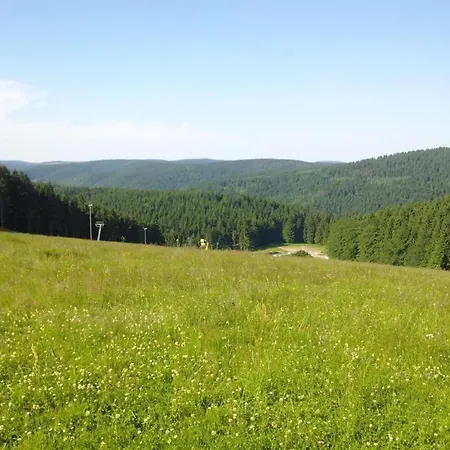 & Hiking Forest Stay, Cleaning Included