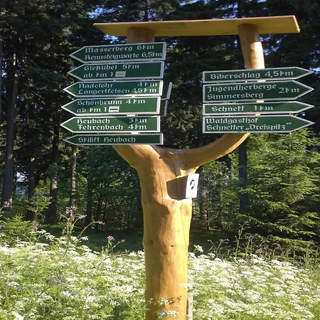 & Hiking Forest Stay, Cleaning Included Hébergement de vacances Schnett